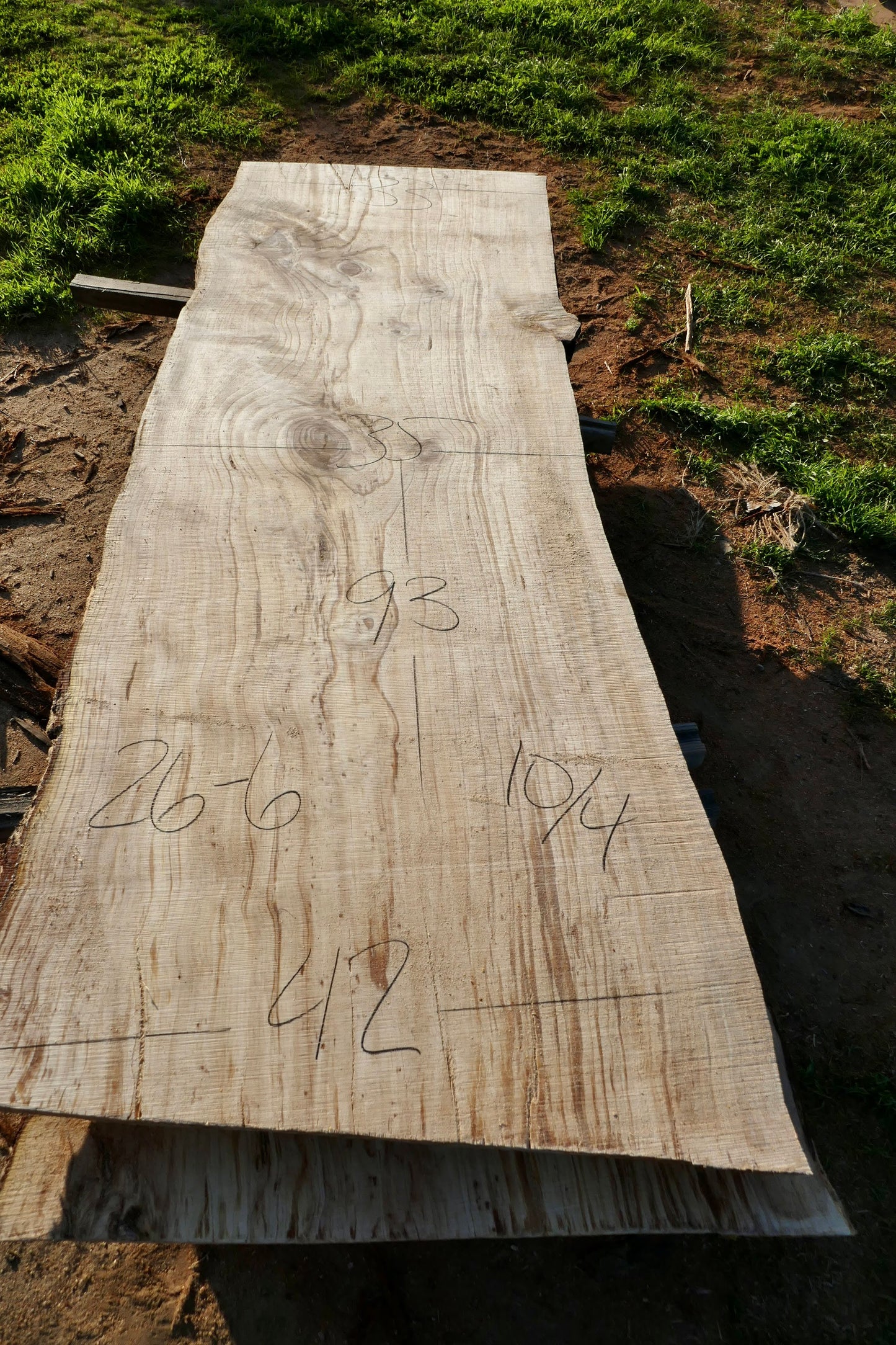 Ponderosa Pine slab 26-6