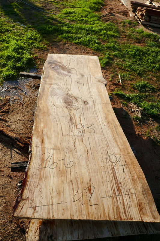 Ponderosa Pine slab 26-6