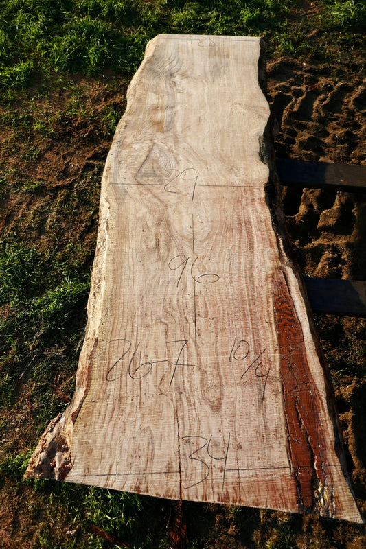 Ponderosa Pine slab 26-7