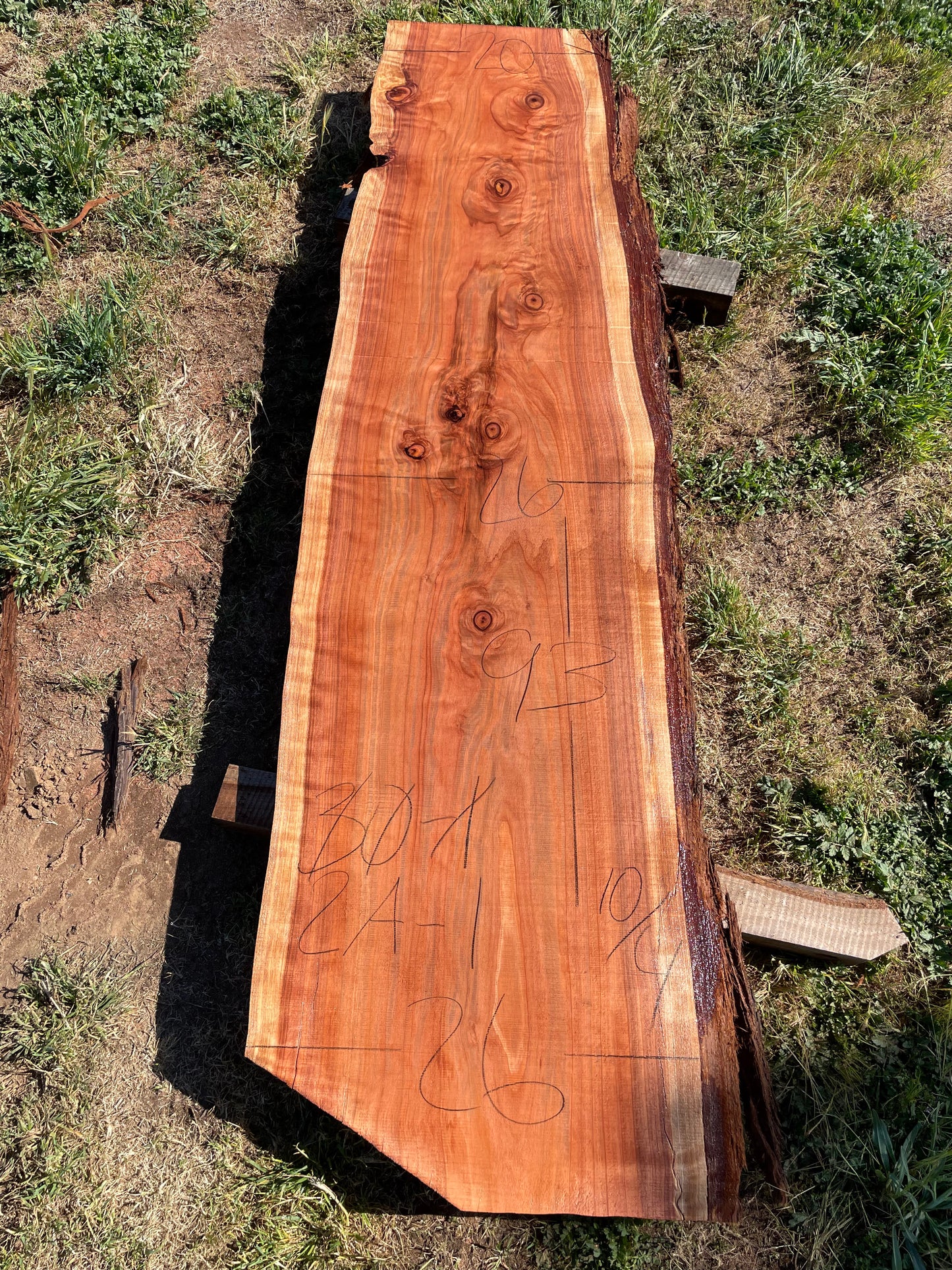 Redwood slab 2A-1