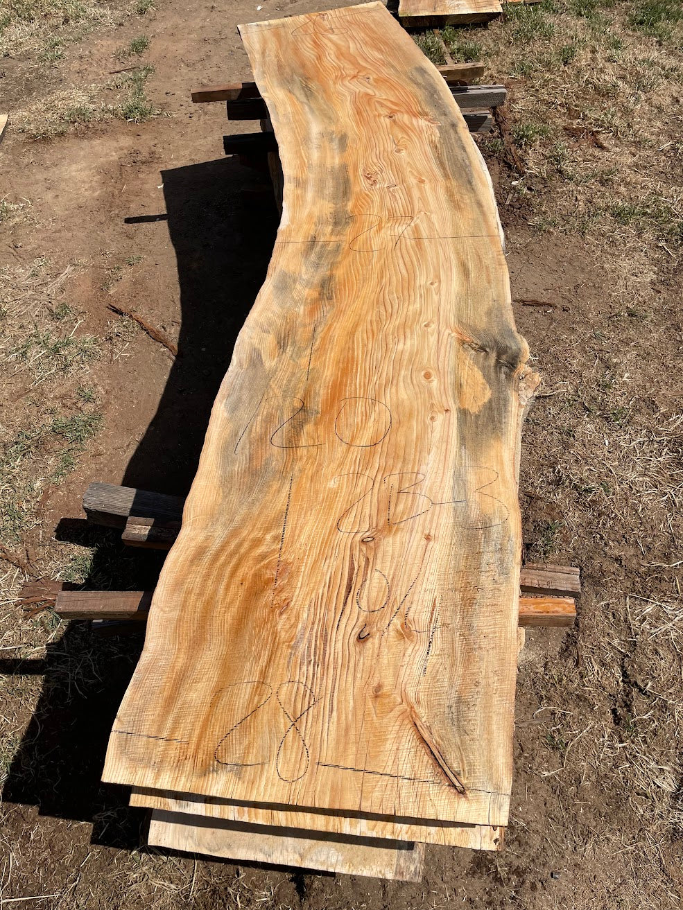 Pine Slab 2B-3