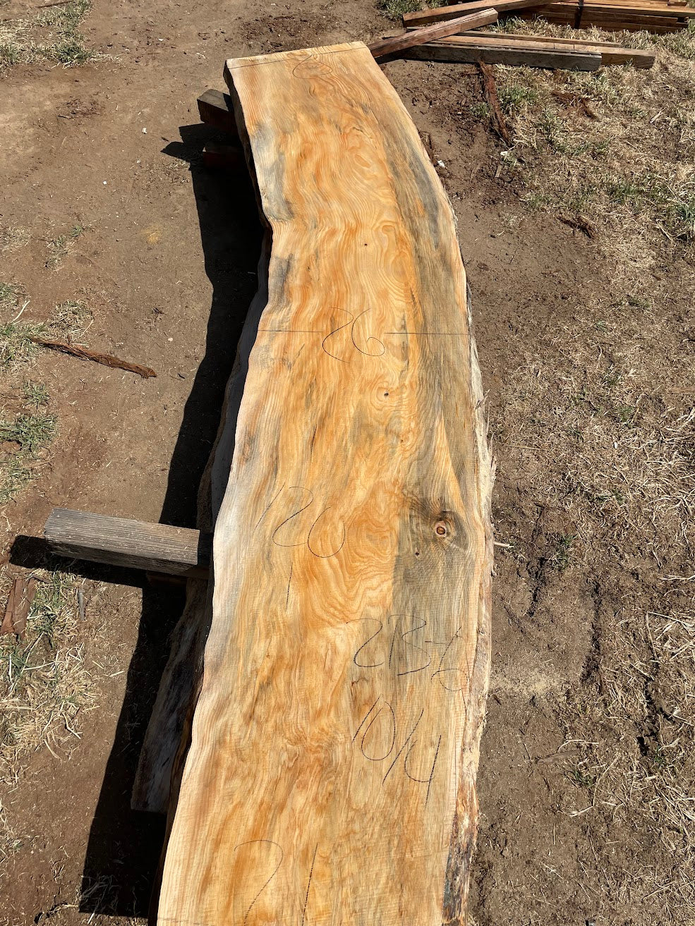 Pine Slab 2B-6