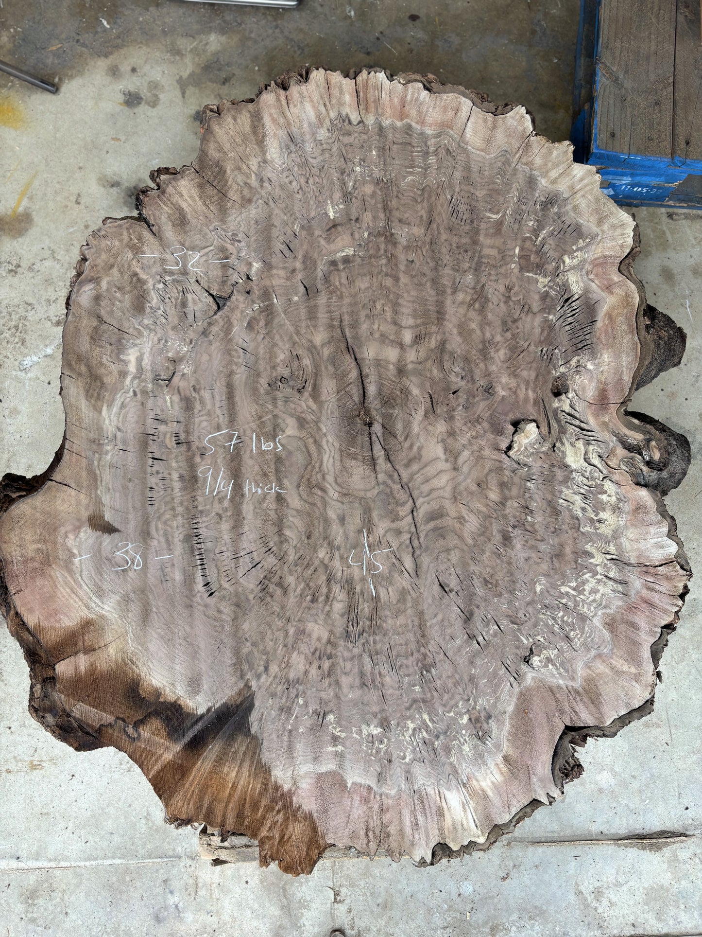 Claro walnut burl cookie