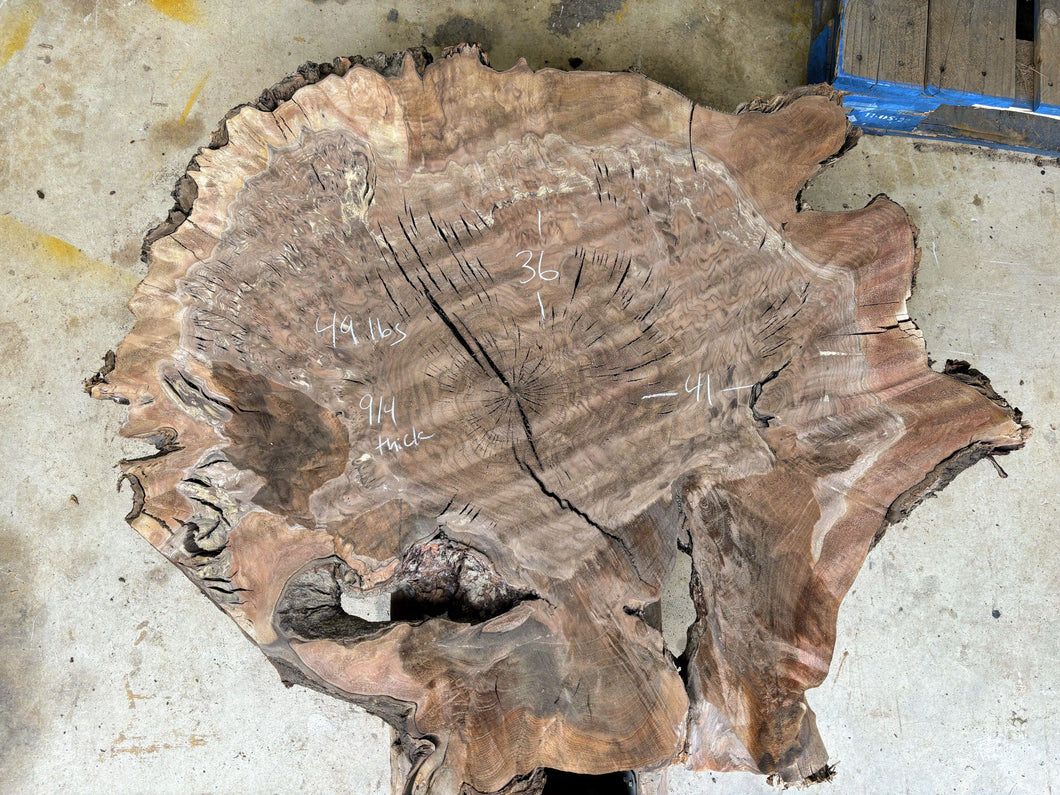 Claro walnut burl cookie CWB-002