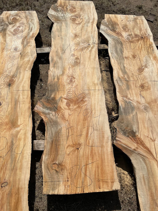 Ponderosa Pine  Slab 2F-2