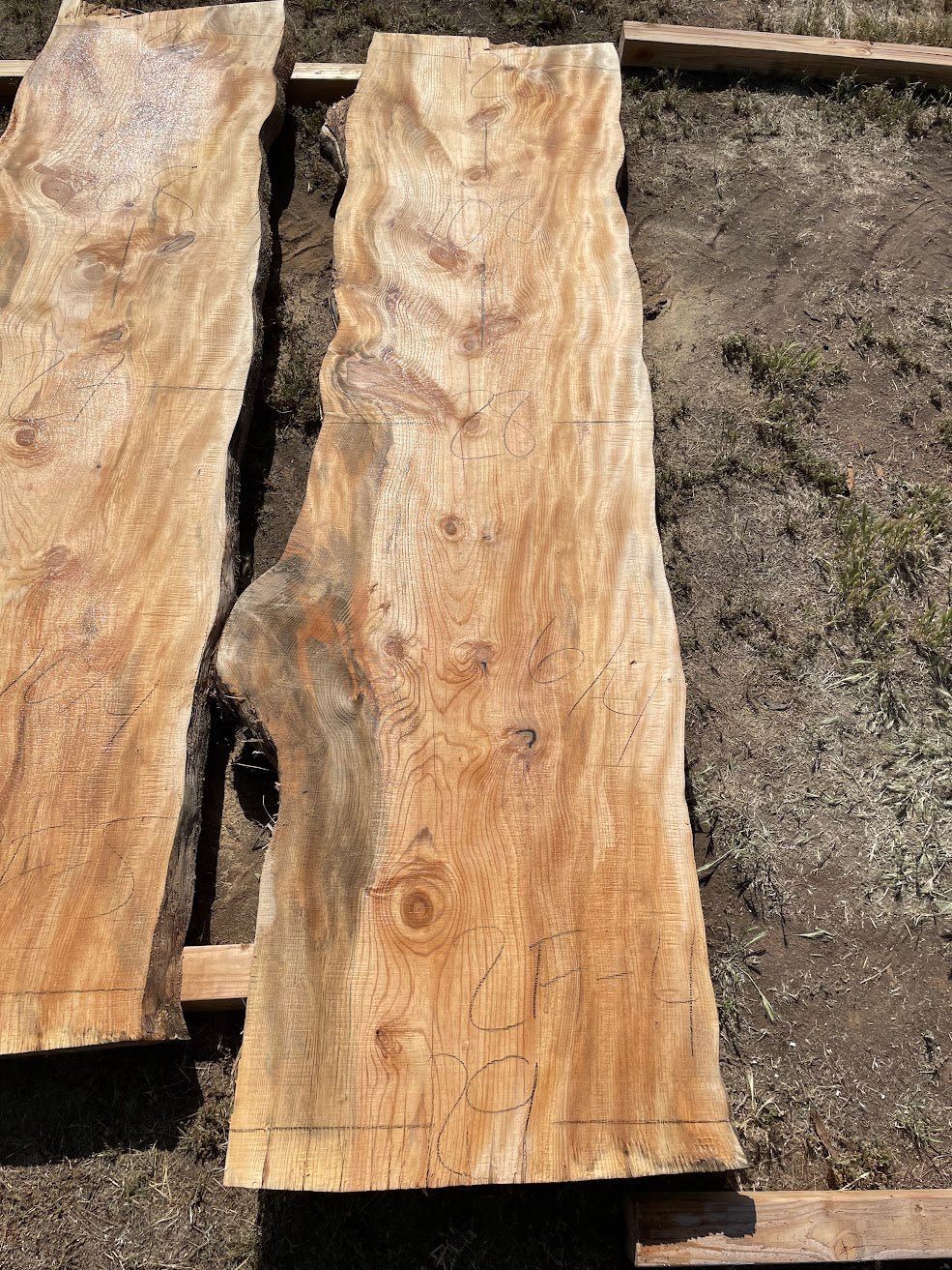 Ponderosa Pine  Slab 2F-4