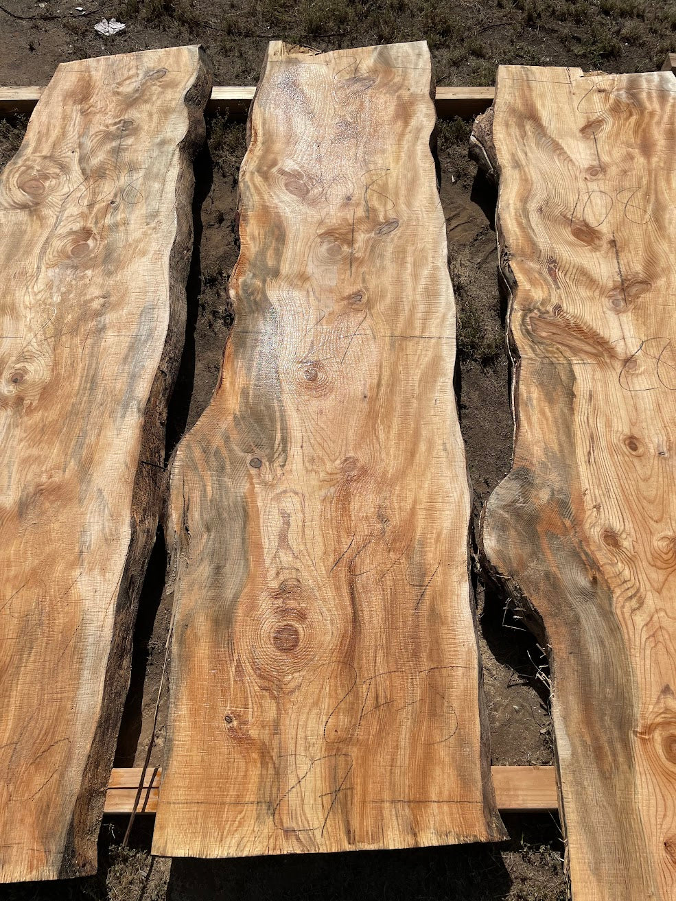 Ponderosa Pine  Slab 2F-5