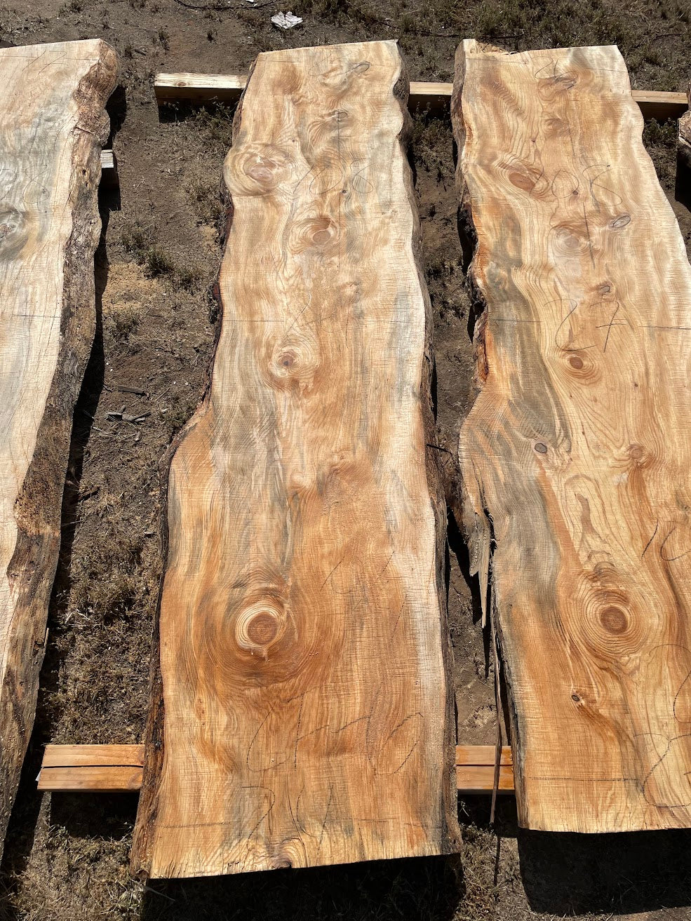 Ponderosa Pine  Slab 2F-6