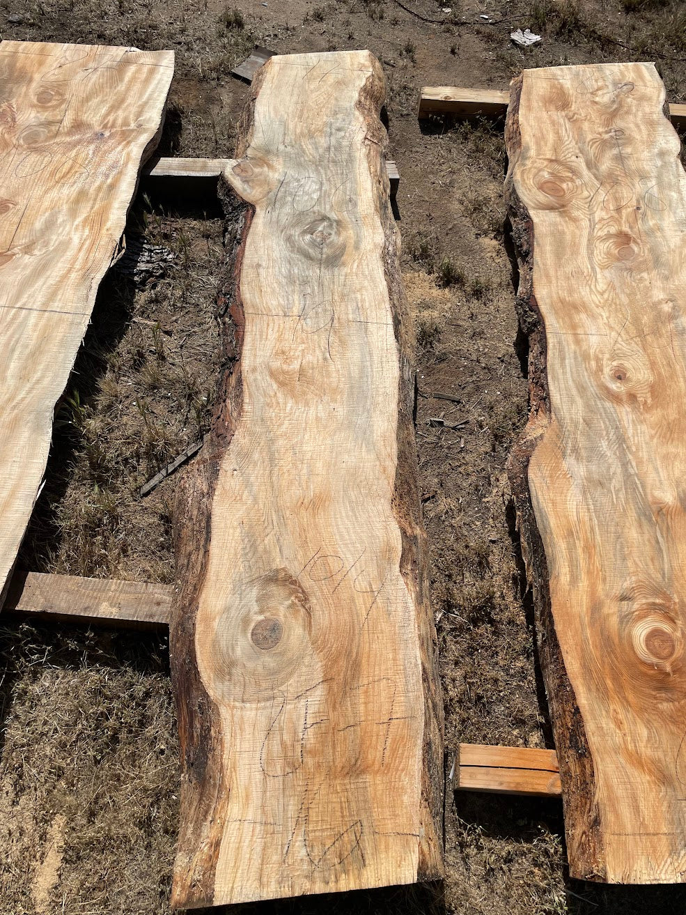 Ponderosa Pine  Slab 2F-7