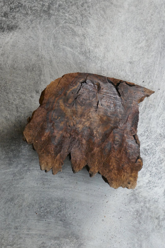 Small claro walnut burl 9" x 9" x 3” [WR-1]