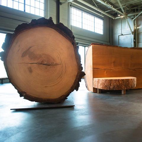 Old growth douglas fir slab FIR-UA salvaged from Exploratorium