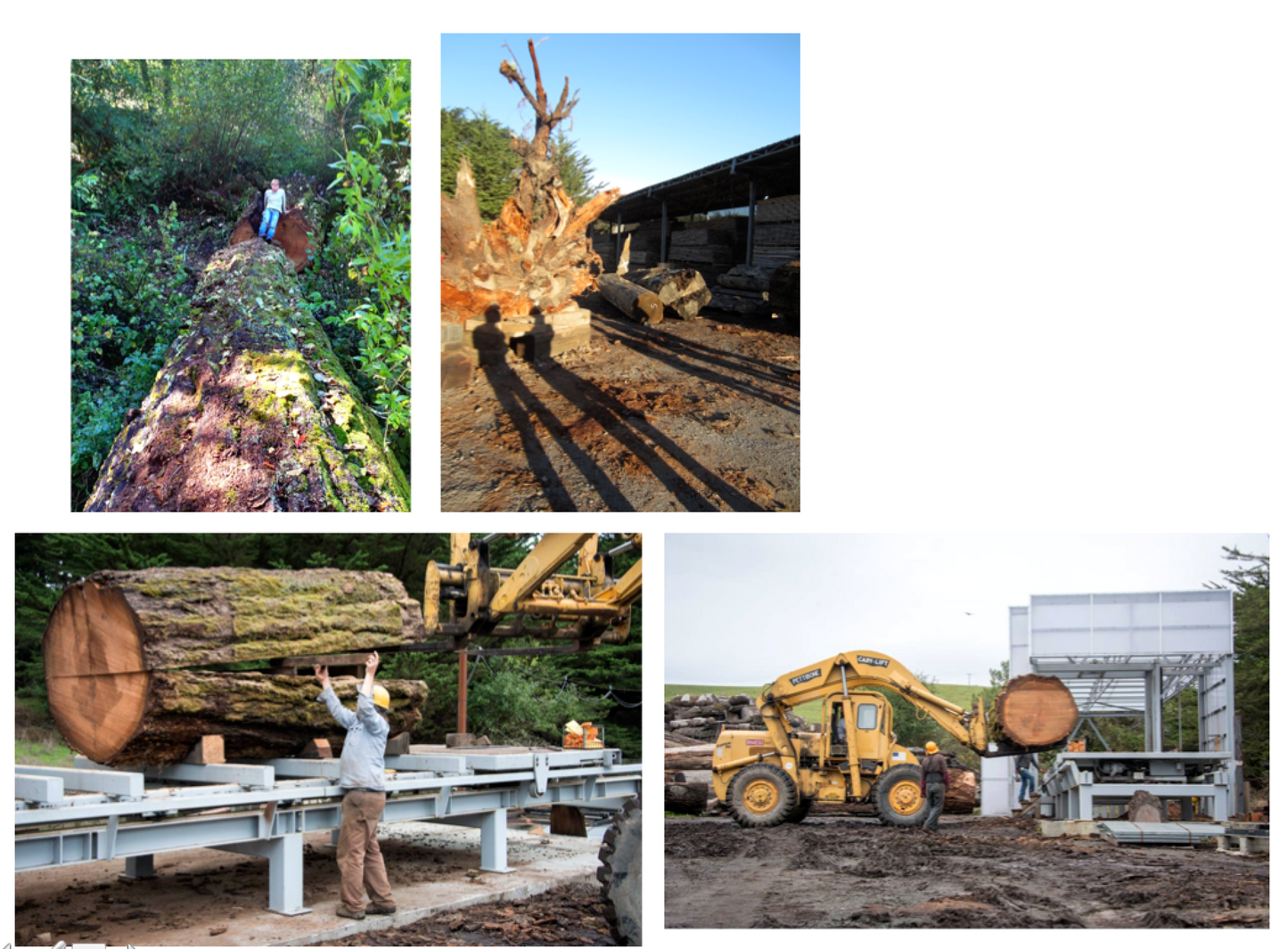 Old growth douglas fir slab FIR-UA salvaged from Exploratorium