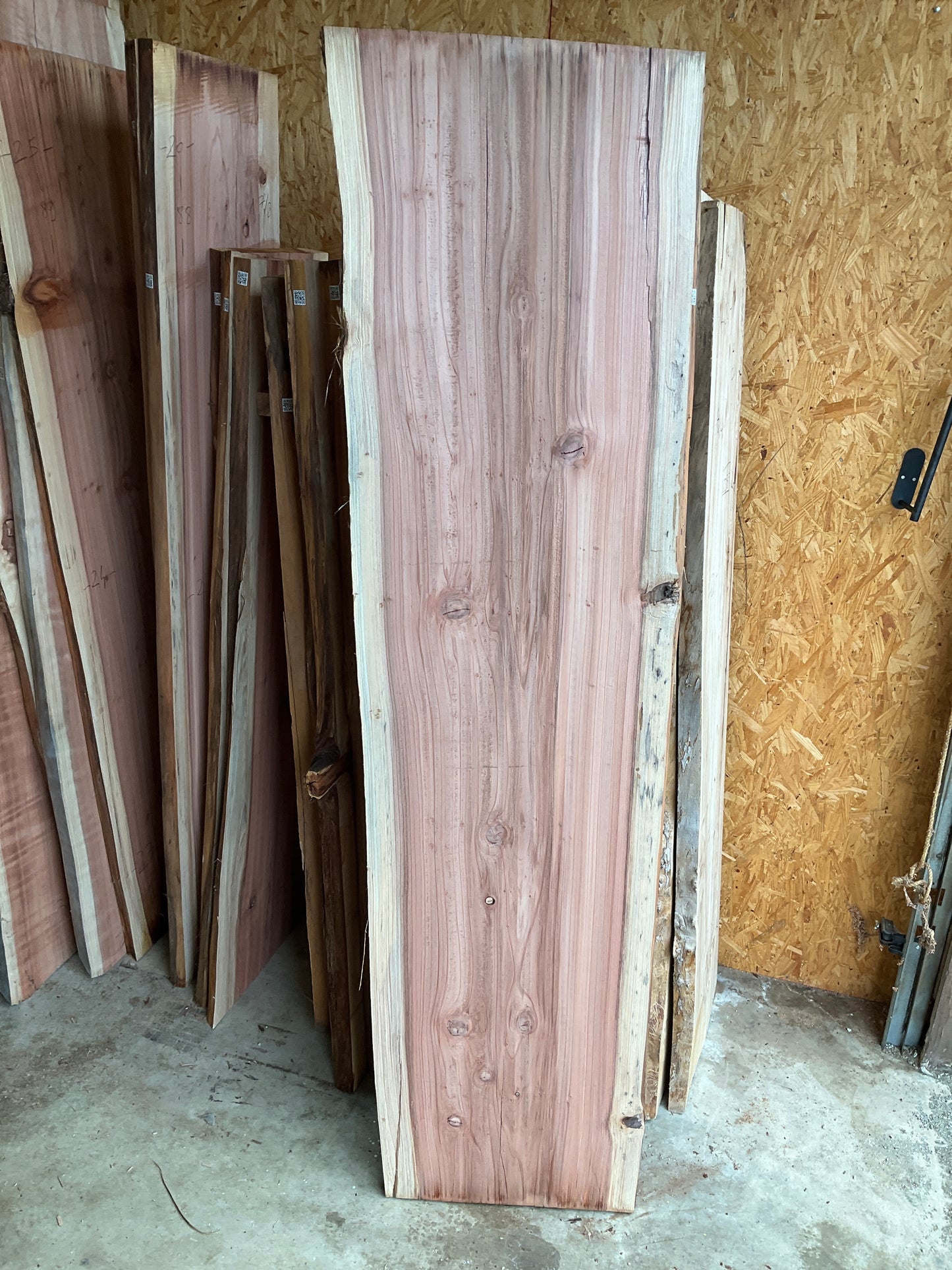 Redwood Slab 115