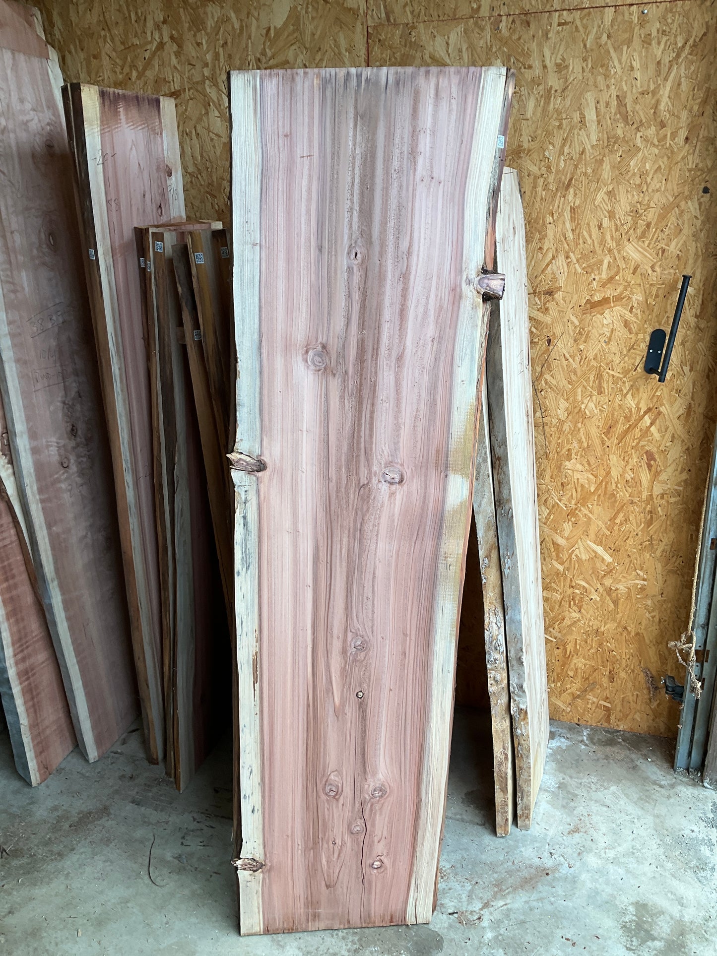 Redwood Slab 114