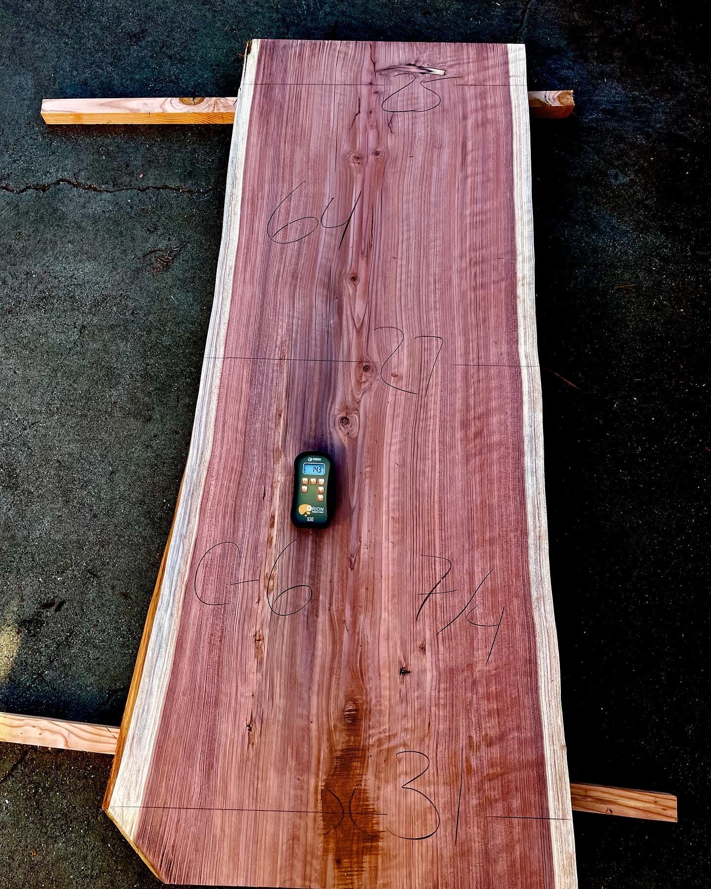 Coastal Redwood Slab C-6