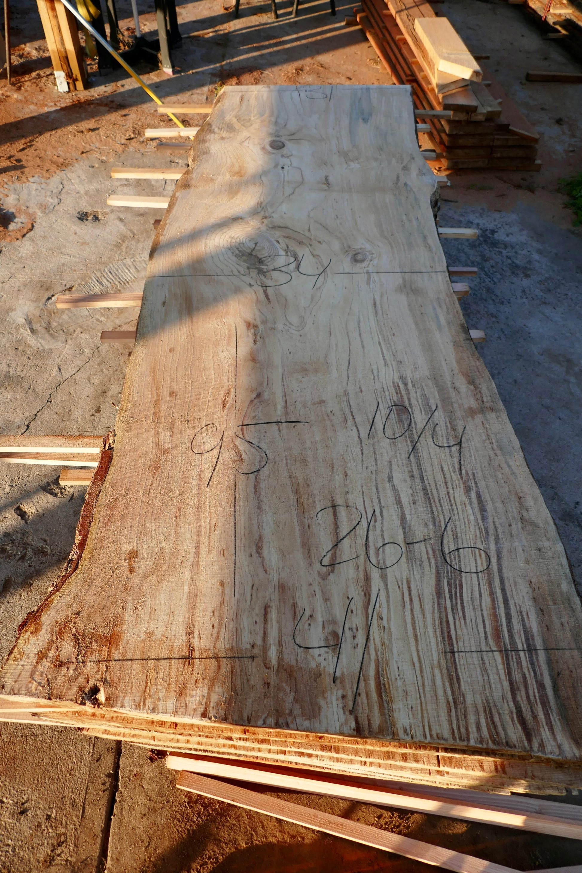 Live edge ponderosa pine slabs