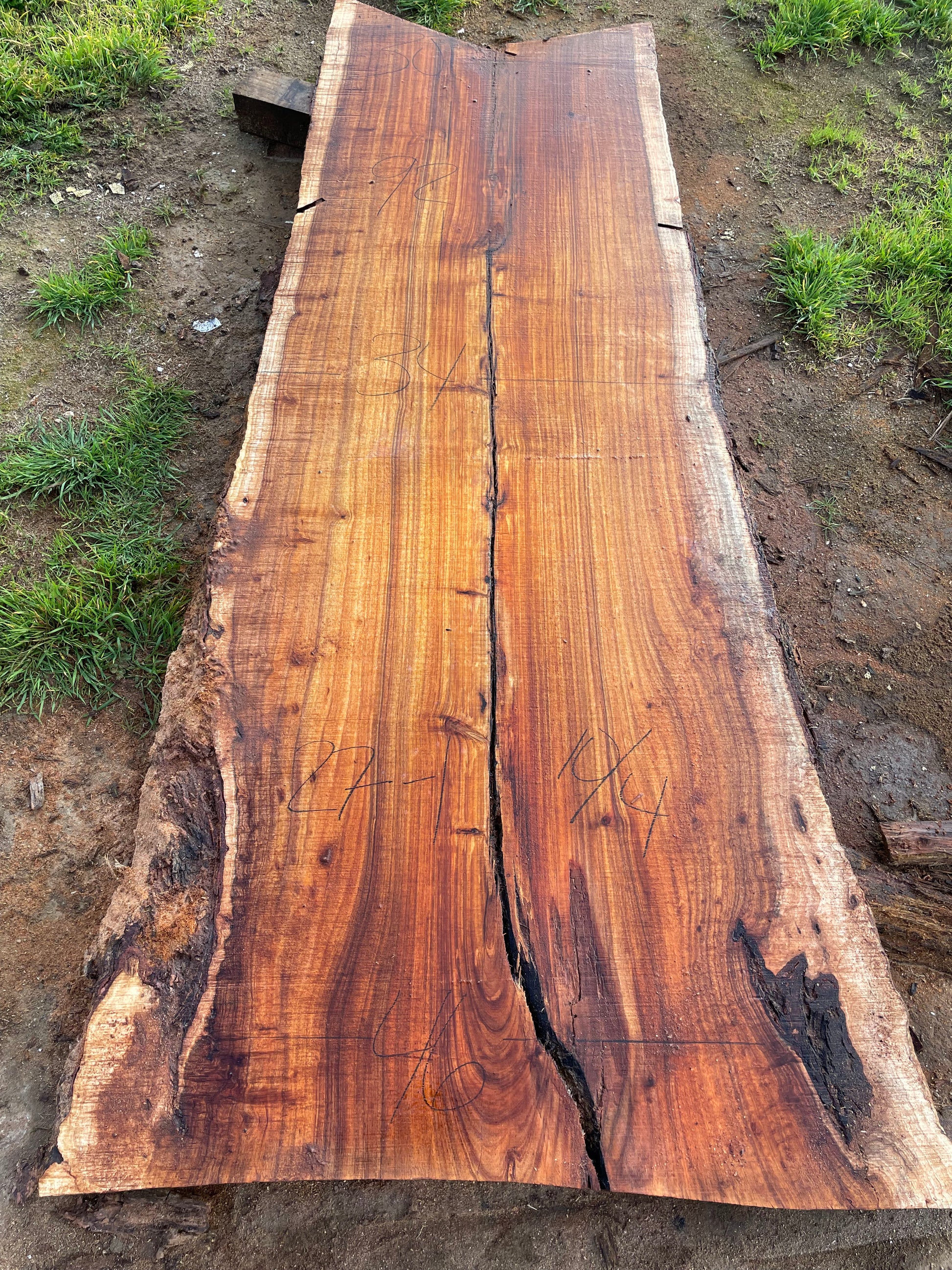 Live edge black acacia slab