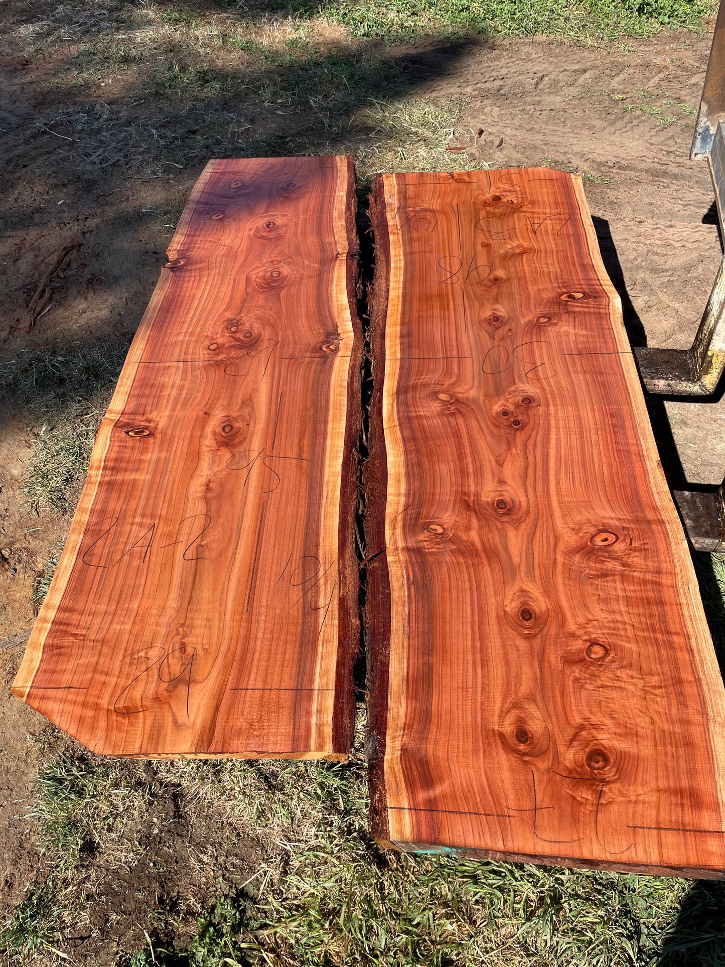 Curly live edge redwood slabs