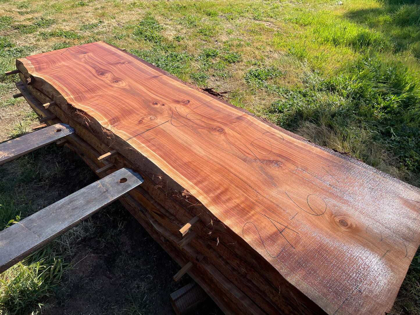 Live edge redwood slabs boule