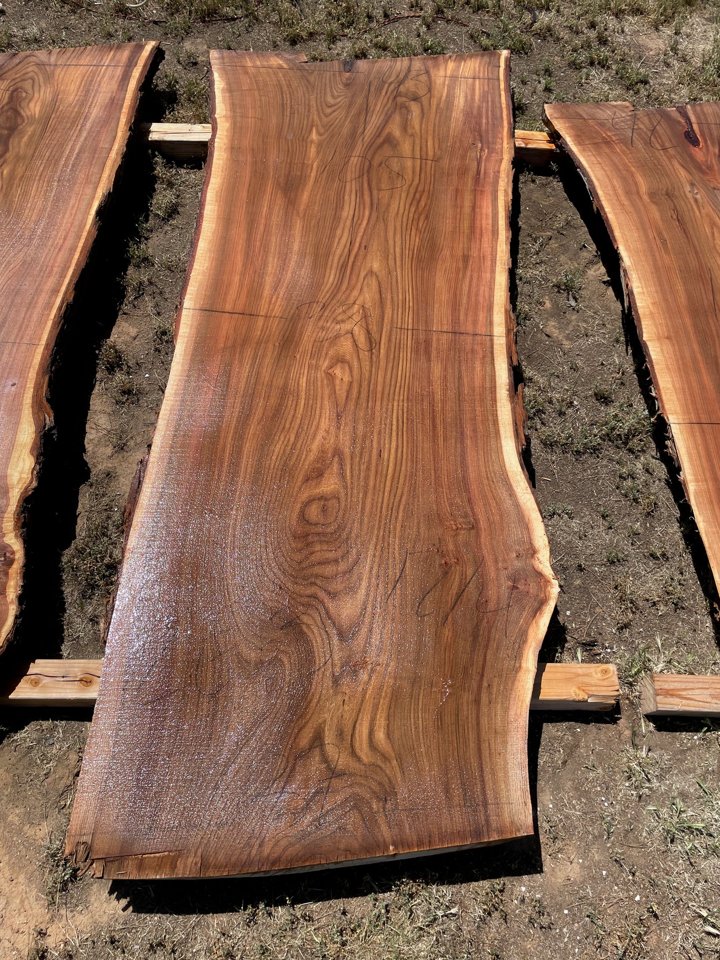 Live edge ash slab